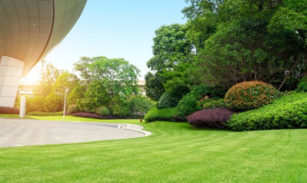 Cost of Commercial Lawn Mowing in Richland