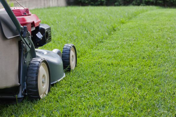 Lawn Care Service in Richland