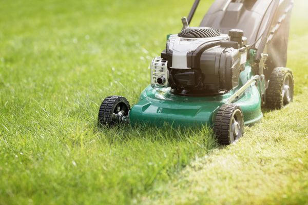 Cost of Yard Cutting in Richland