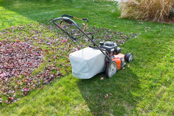 Cost of Seasonal Lawn Care in Richland