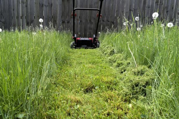 Cost of High Grass Mowing in Richland