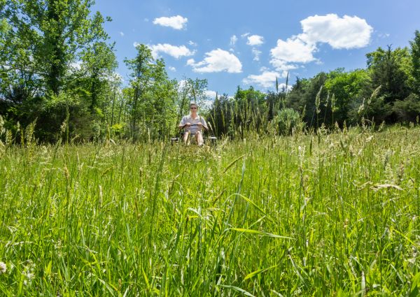 Cost of Long Grass Mowing in Richland