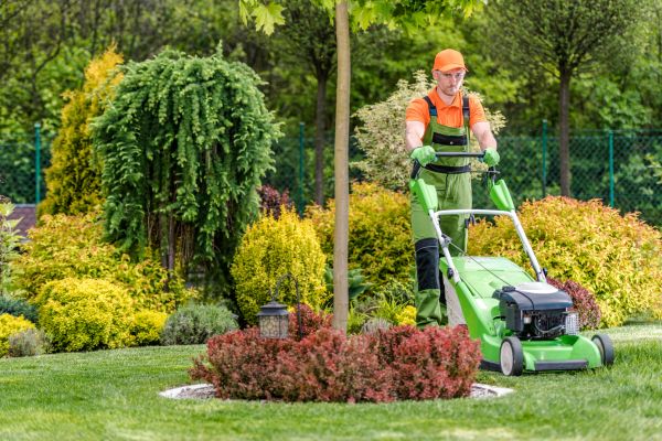 Cost of Commercial Yard Maintenance in Richland