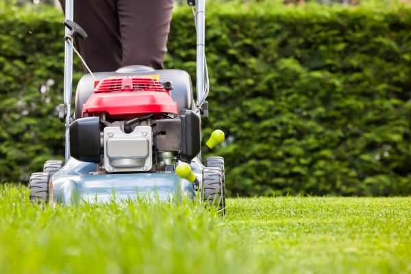 Grass Trimming Service in Richland