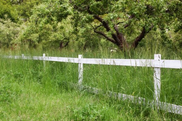 Cost of Fence Line Trimming in Richland