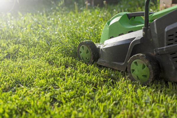 Cost of Lot Mowing in Richland