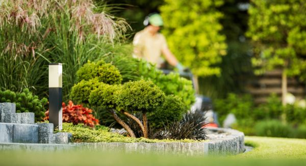 Cost of Residential Yard Maintenance in Richland