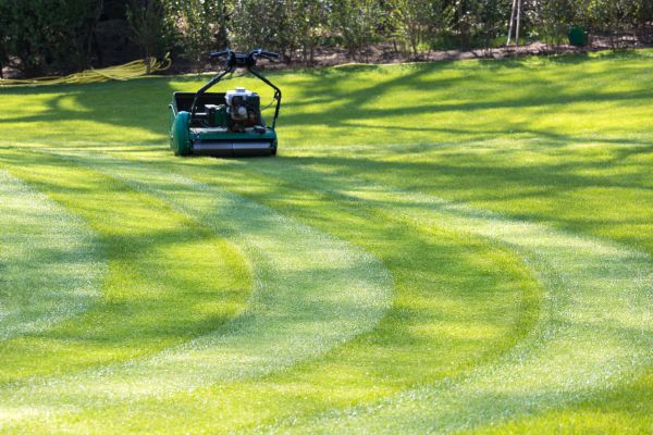 Cost of Business Lawn Mowing in Richland
