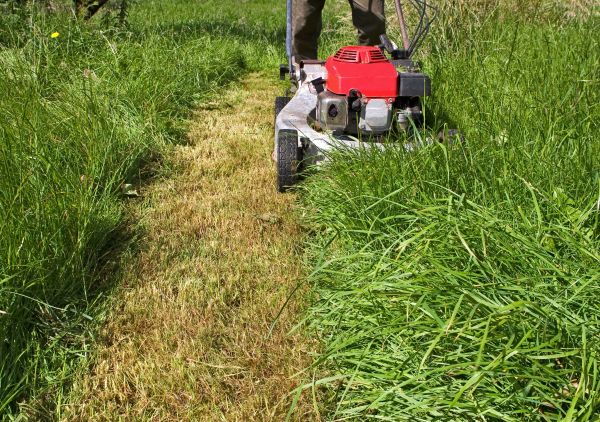 Cost of Leaf Mowing in Richland